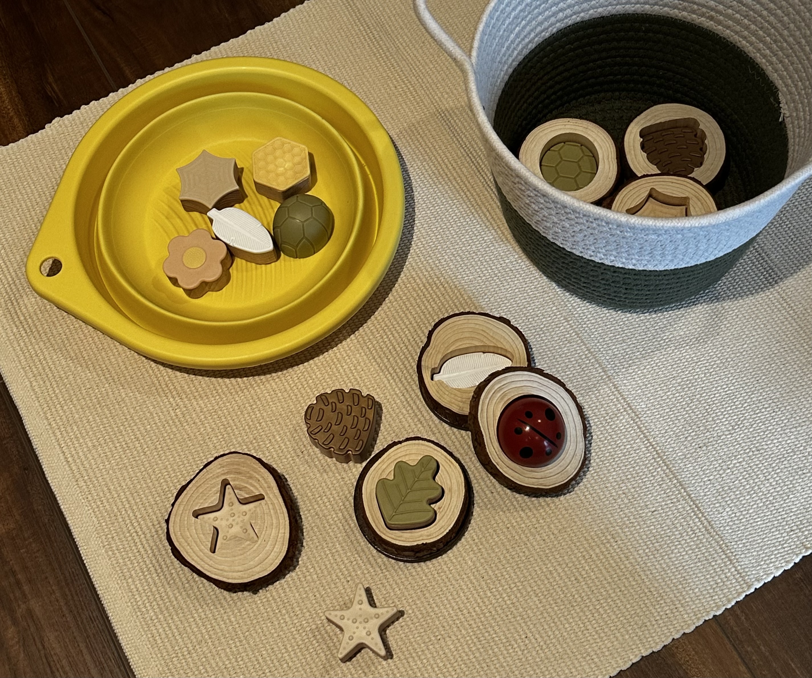 Wooden nature-themed sorting materials